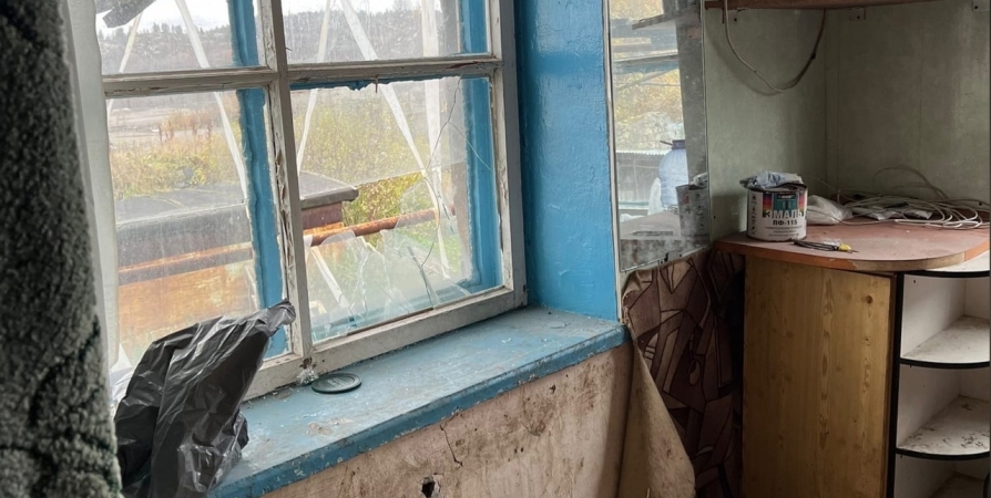 Вандалы разбили окно в приюте для животных в Североморске