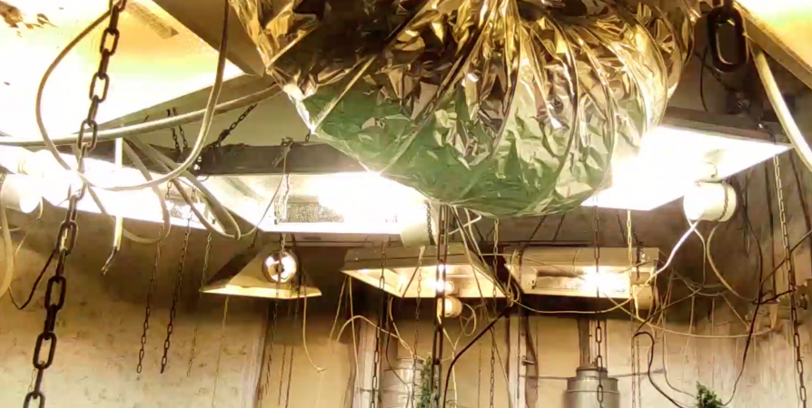 Безработный мурманчанин дома оборудовал комнату для выращивания конопли