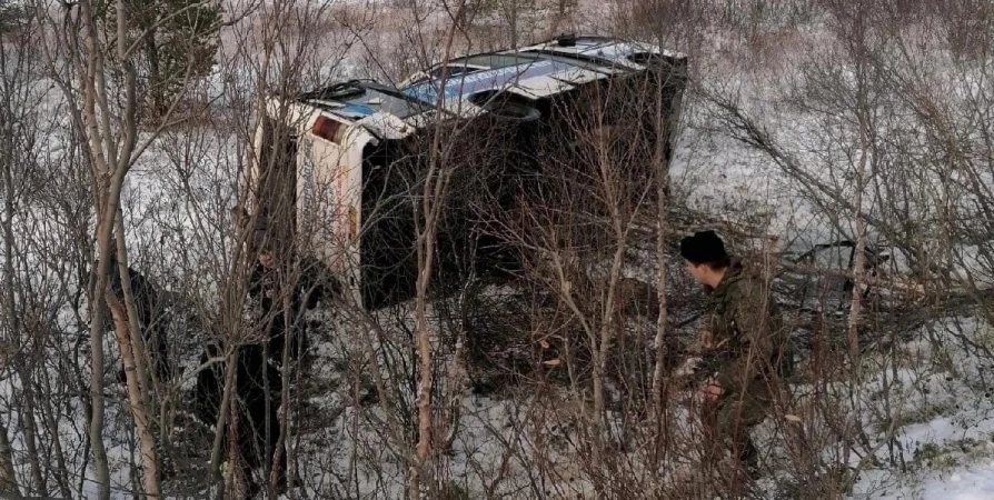 После ДТП с пострадавшими в автобусе на дороге Мишуково-Снежногорск проводится проверка