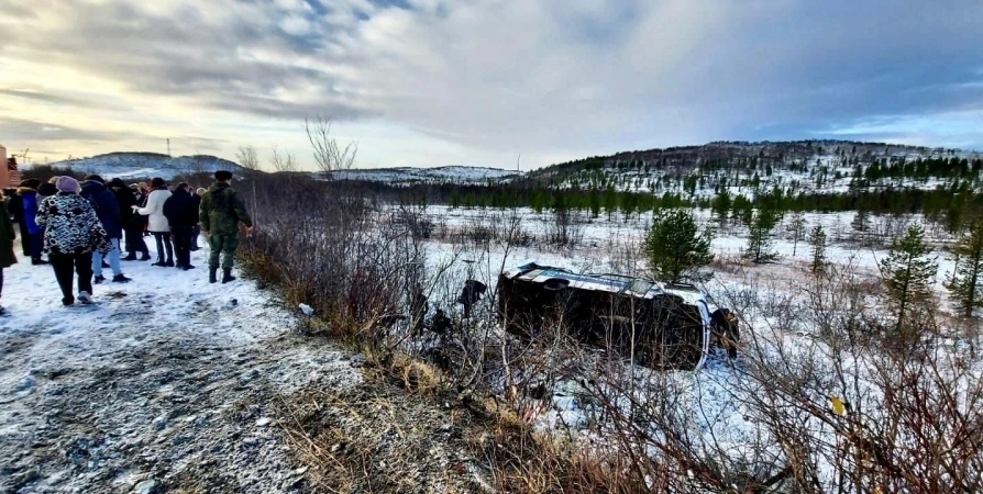 Четверо пострадали в улетевшем в кювет автобусе из Снежногорска