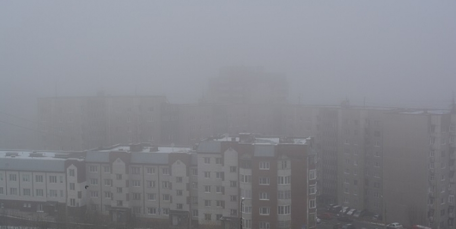 В Заполярье сегодня туман и -2°
