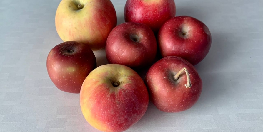 В Заполярье подешевели яблоки до 114,58 рублей за кг