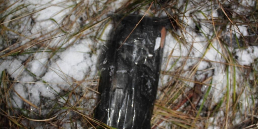 Рядом с колонией в Мурманске нашли спрятанный в картридж от принтера телефон