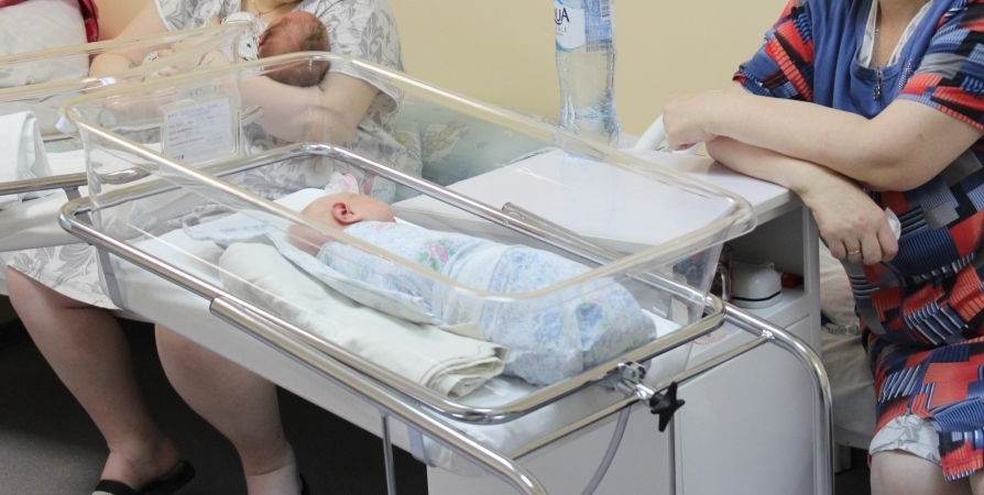 В Мурманской области две семьи получат по 1 млн за рождение тройняшек