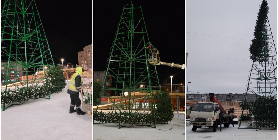 В сквере Оленегорска монтируют новогоднюю елку