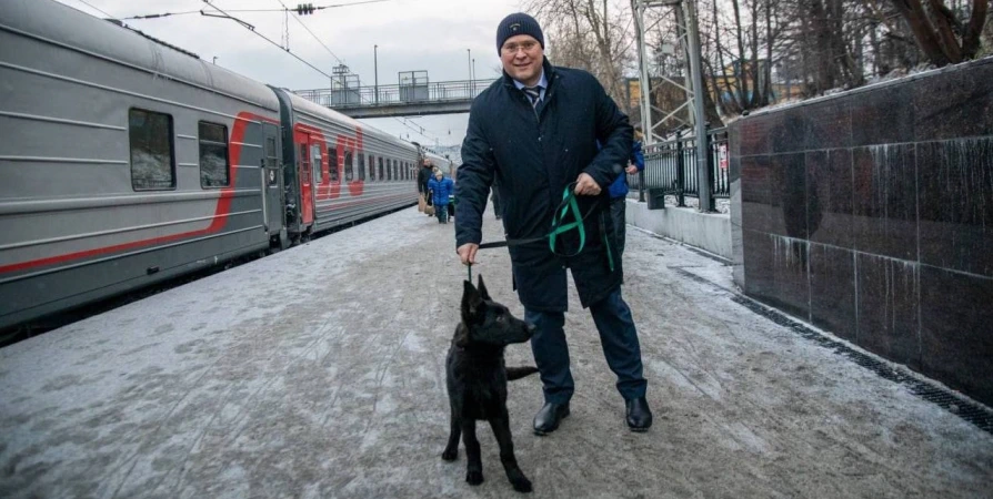 Глава администрации Мурманска взял овчарку из московского питомника