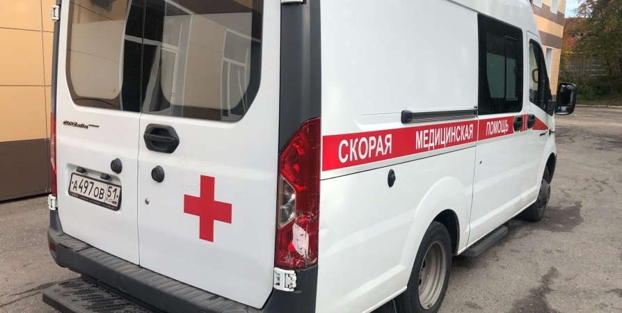 Автопарк скорой помощи Мурманской области получил 15 новых машин