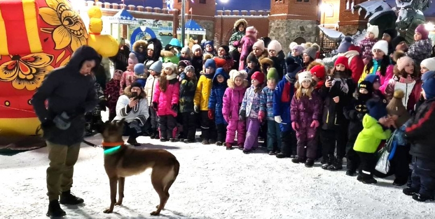 Овчарки УФСИН выступили на открытии новогодней елки в мурманской «Сказке»