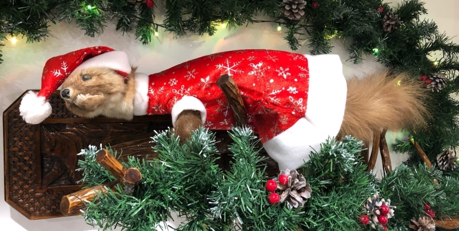 Жительница Мурмашей лишилась 40 тысяч при покупке новогодней елки через интернет