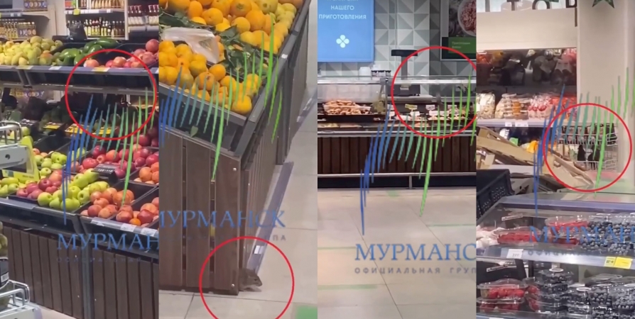 Федеральная торговая сеть объяснила присутствие крыс в магазине в Мурманске