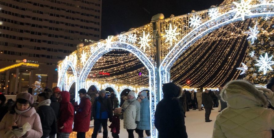 Жителей Мурманской области призвали быть бдительными в новогодние праздники