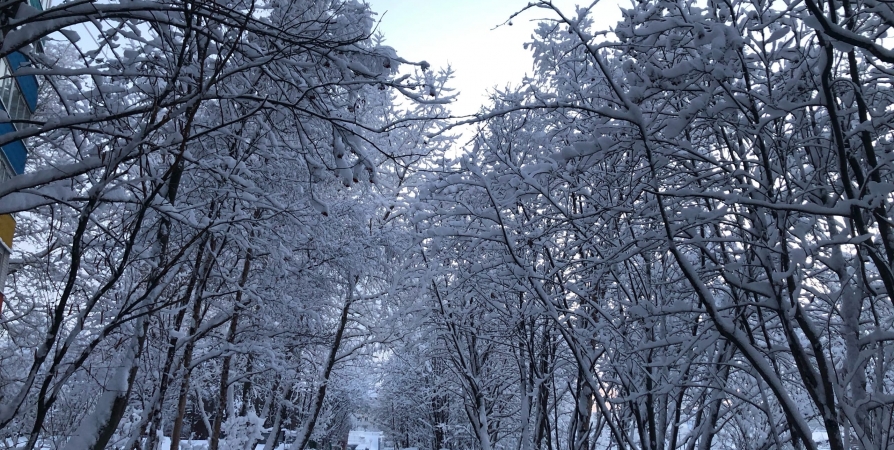 До Нового года в Мурманской области обещают настоящую зиму