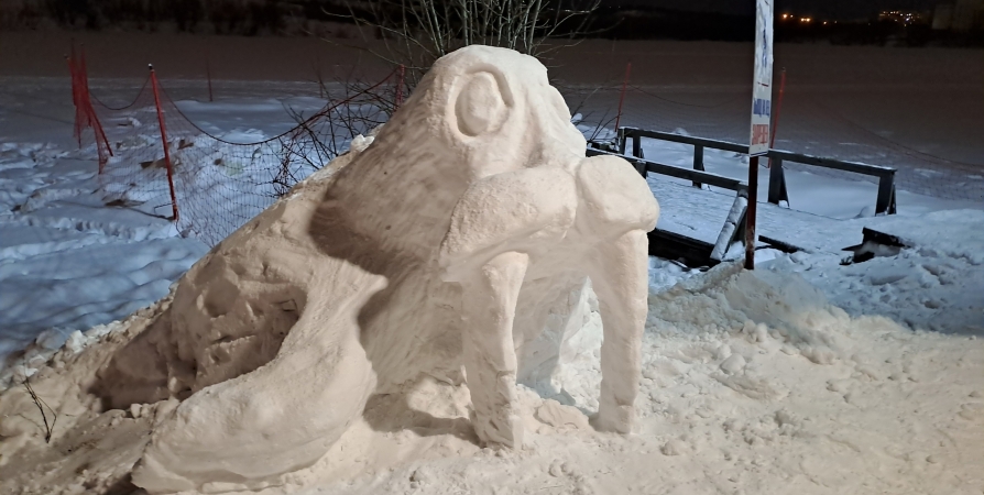 Мурманчане придумывают имя снежной скульптуре у домика «моржей»