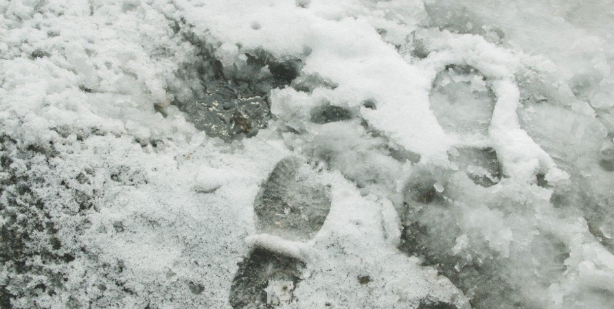 Жителей Мурманской области предупредили о сильной гололедице и налипании мокрого снега