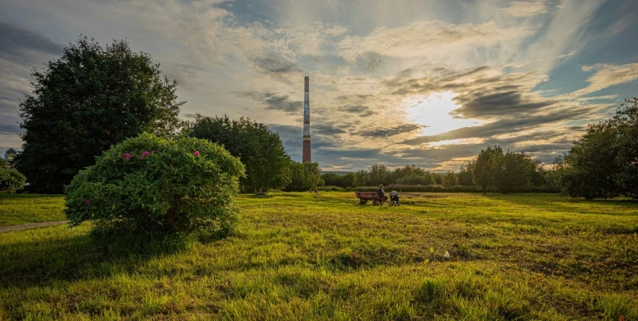 Лето-2022 вошло в «тройку» самых теплых в Мурманской области