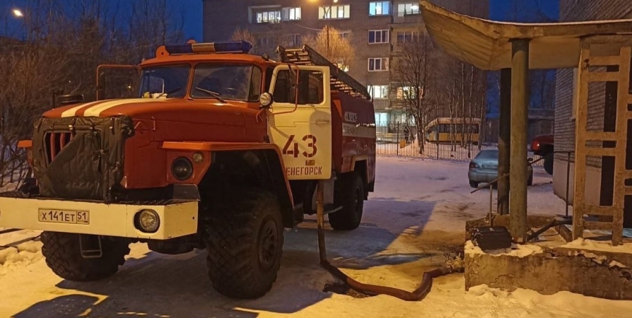 При пожаре в Оленегорске на Парковой погиб 1 человек