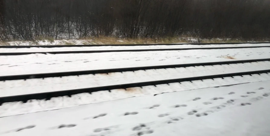 В маршруте «Лыжной стрелы» из Апатитов в Мурманск включили дополнительную остановку