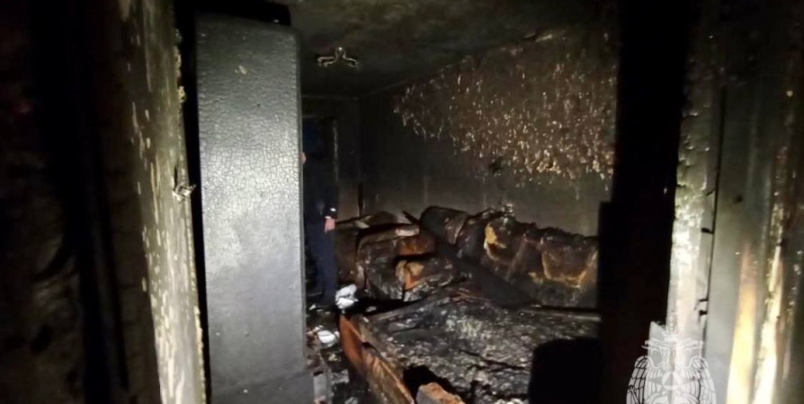 11 пожарных потушили квартиру на Копытова в Мурманске