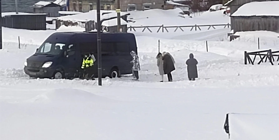 В Териберке ради застрявшего автобуса с туристами выдрали деревья