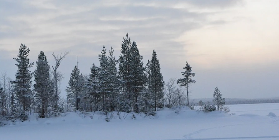 От -3 до +2° и местами сильный ветер в Мурманской области