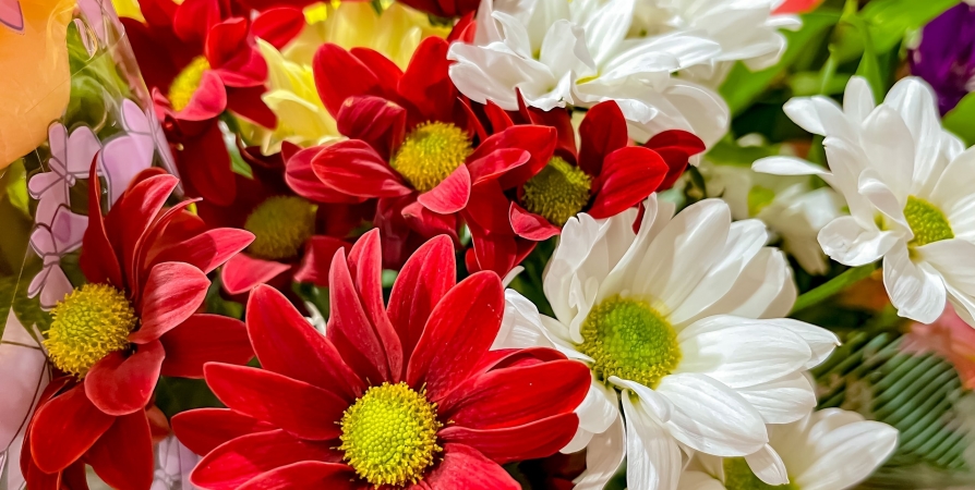Жительницы Мурманской области получат в подарок на 8 марта цветы и украшения