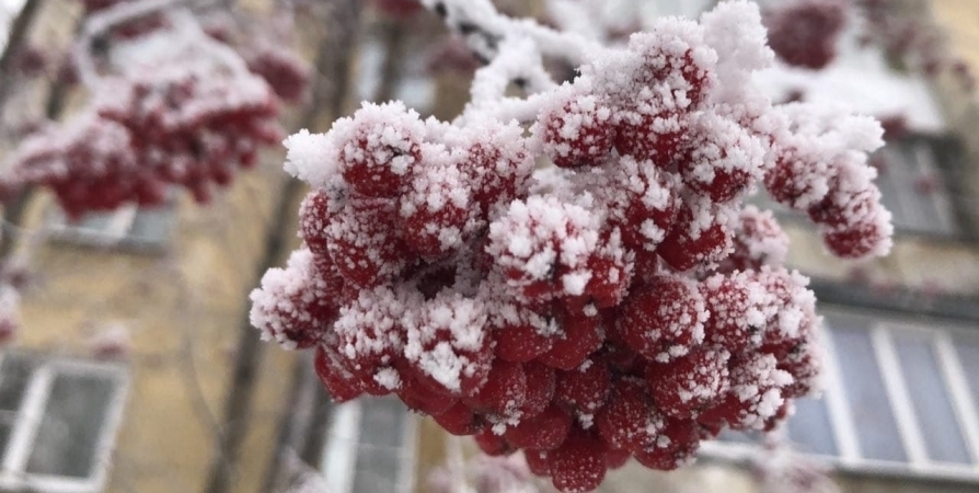 В Мурманской области сегодня ожидается изморозь и до -14°