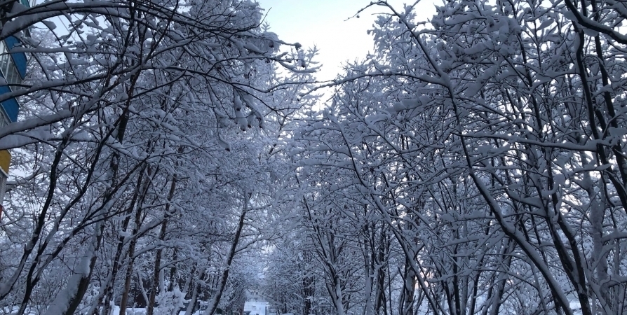Местами снег и метель обещают в Мурманской области