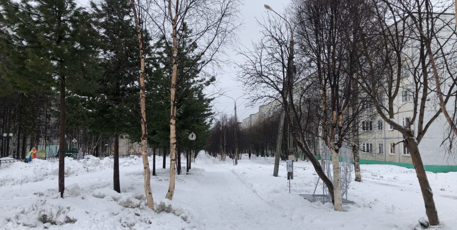 В Кировске сообщили о расстреле и похищении многодетной женщины