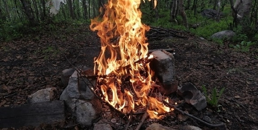 Начало пожароопасного сезона в лесах Заполярья ожидается 20 мая