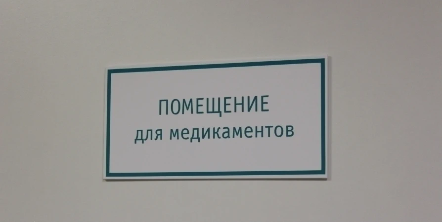 Современные фельдшерско-акушерские пункты появятся в Коашве и Титане