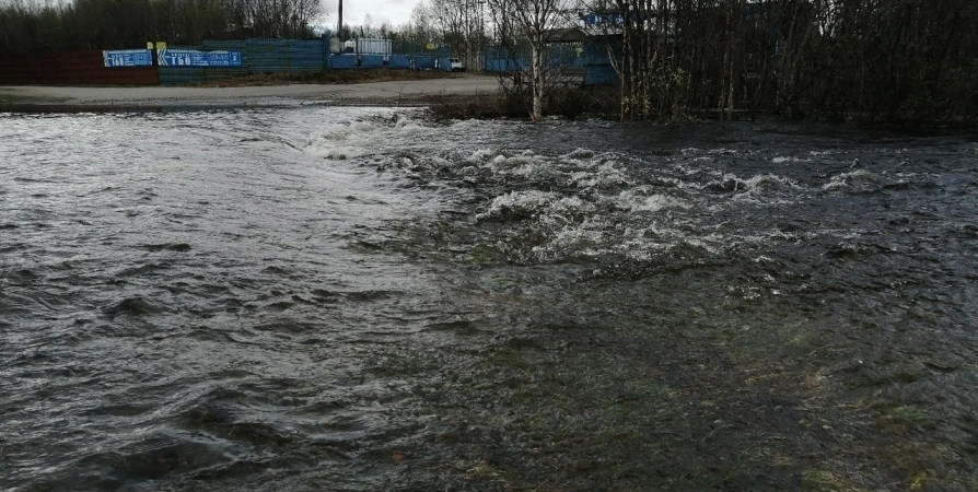 В реке Кола - превышение ожидаемого максимального уровня воды