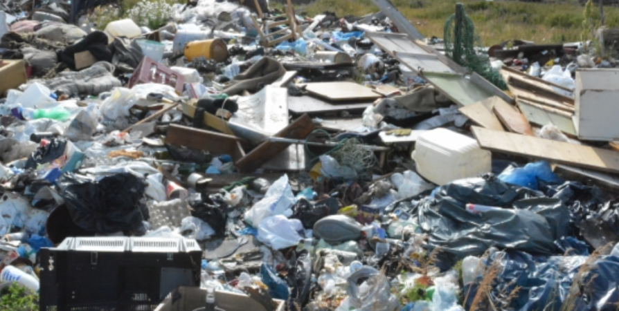 167 жалоб на мусор и свалки поступило от северян за неделю