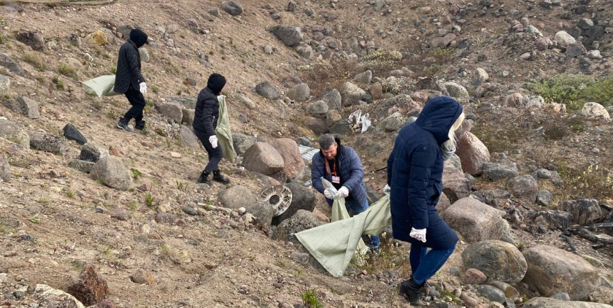 Волонтеры собрали 500 мешков мусора на Большом Арктическом субботнике в Териберке