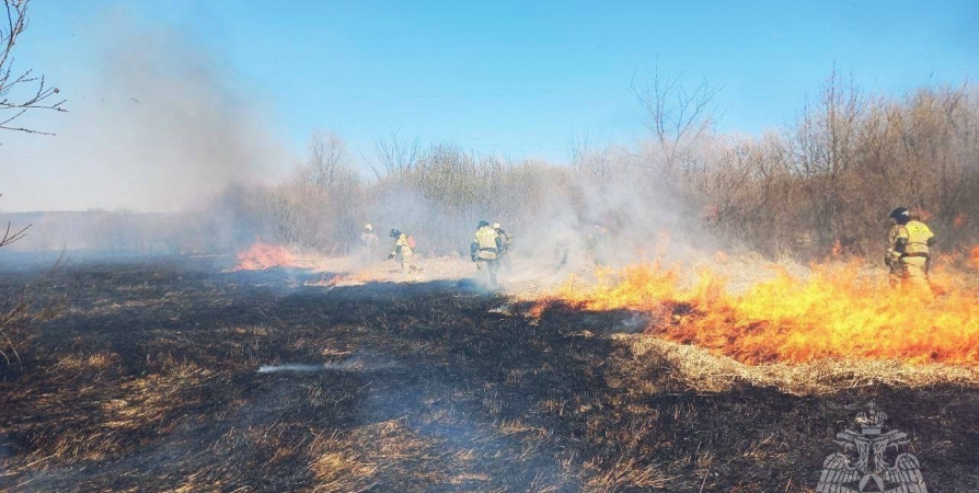 За неделю в Заполярье ликвидировали 7 природных пожаров
