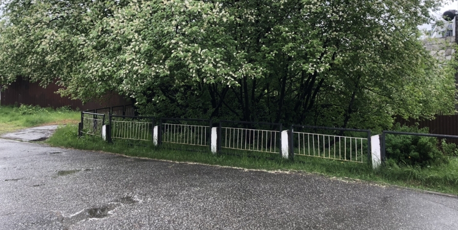В Мурманской области в первый день лета ожидаются дождь и местами сильный ветер