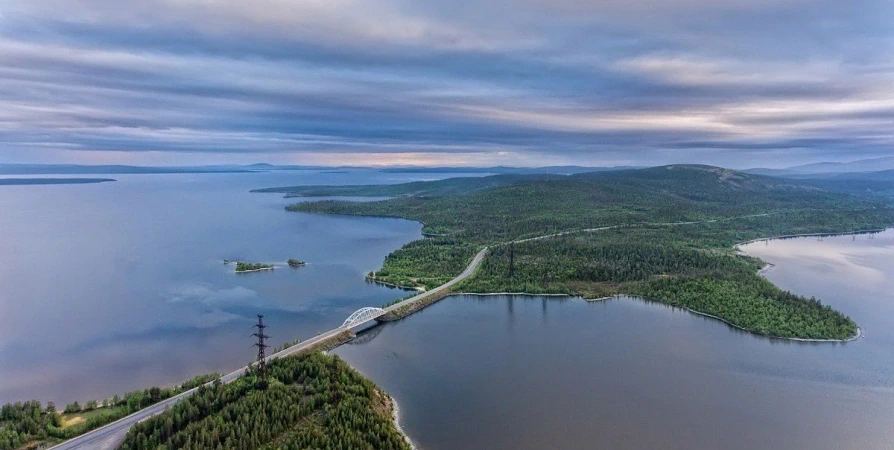 В Имандровское водохранилище на реке Нива выпустили молодь сига