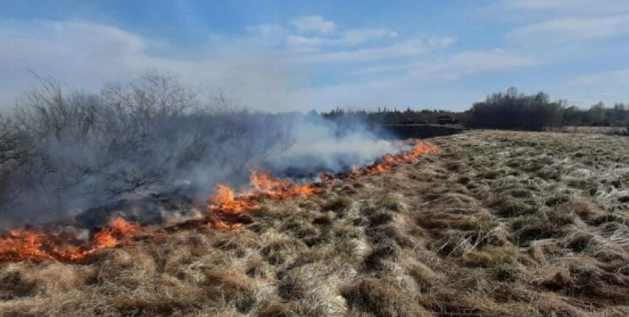 В районе Заполярного 22 июня дважды горела сухая трава