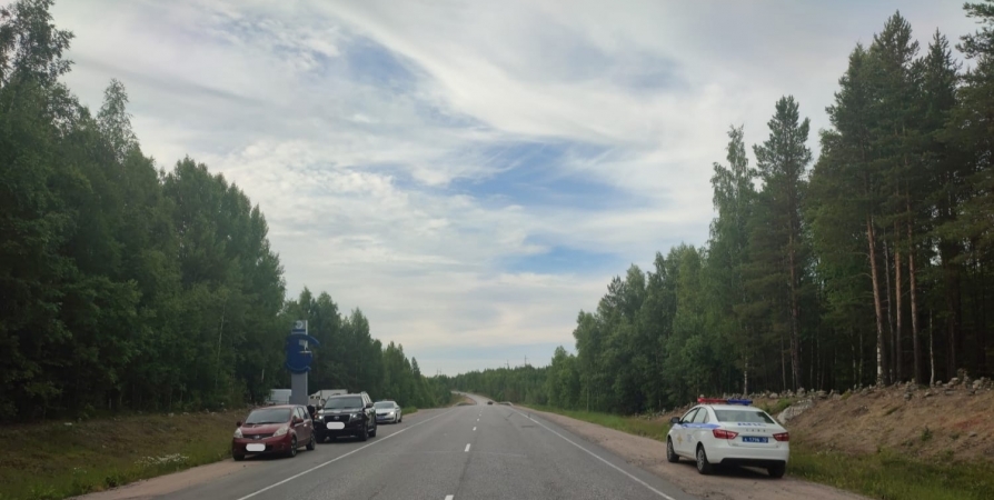 Трагическое ДТП возле стелы «Полярный круг»: Водитель из Мурманска сбил 8-летнюю девочку