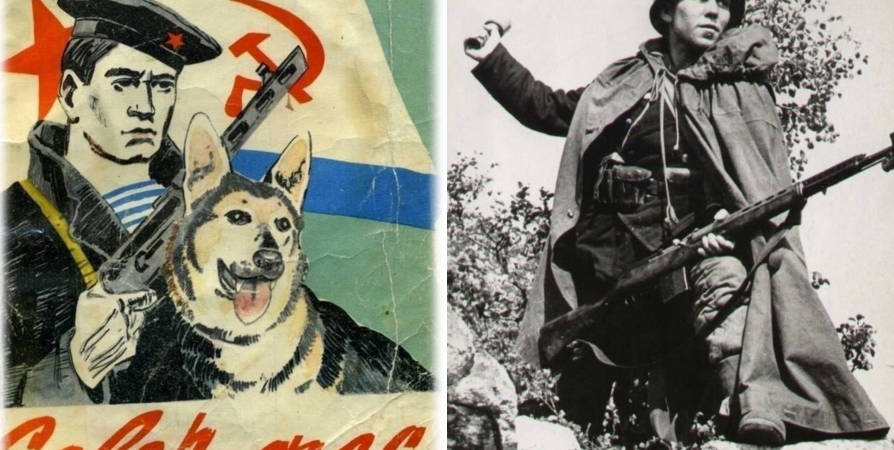 Мурманчанам напомнили трогательную историю дружбы Героя Советского Союза и собаки во время Великой Отечественной войны