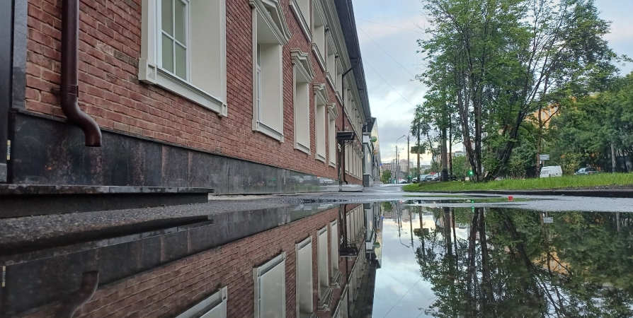 Теплую с небольшими дождями погоду ожидают в Мурманской области