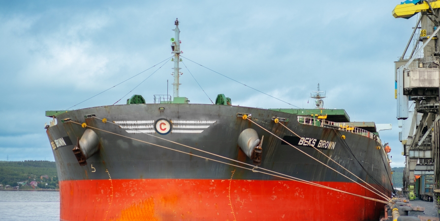 Погрузка в торговом порту Мурманска обновила исторический максимум благодаря судну-гиганту