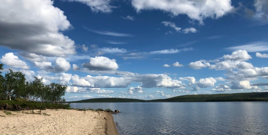 Местами кратковременный дождь и до +32° в Мурманской области