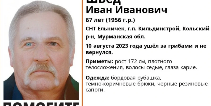 Опубликована ориентировка на пропавшего под Мурманском грибника 67 лет