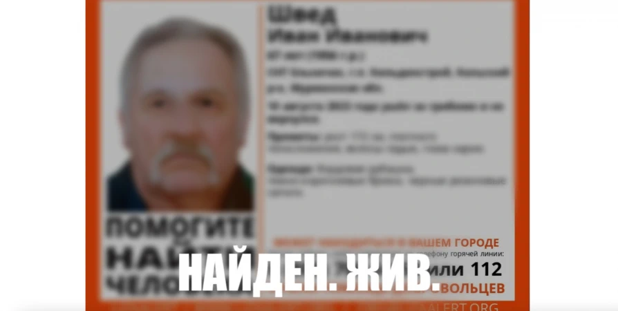 Пропавшего под Мурманском 67-летнего грибника нашли живым