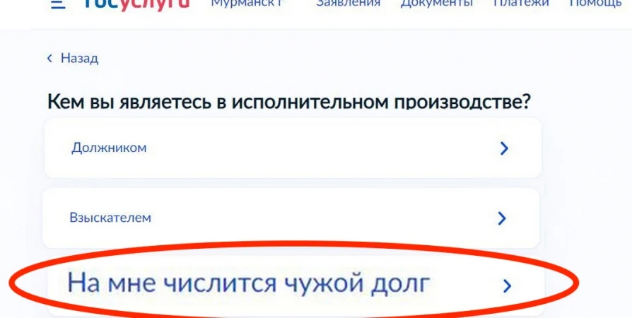 В Заполярье двойники должников могут сообщить об ошибочном обязательстве на Госуслугах