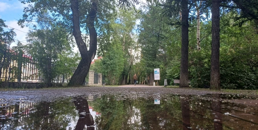 До +22° и местами сильный дождь ожидается в Мурманской области