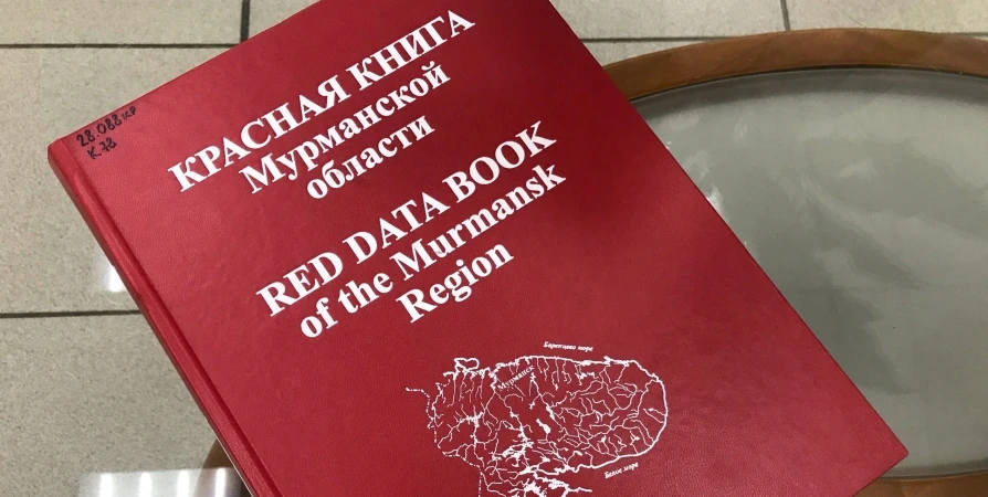 На подготовку очерков для новой Красной книги Мурманской области заложено 2,5 млн