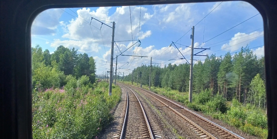 На Октябрьской железной дороге с начала года погибли 68 человек