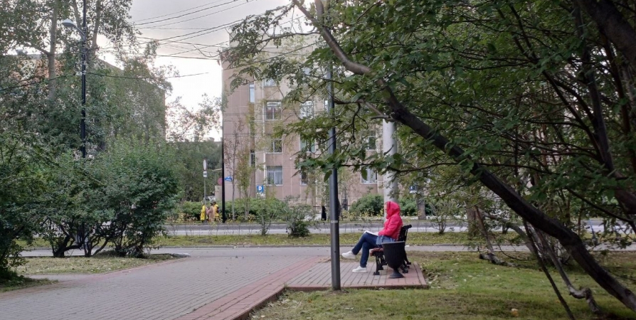 Слабый ветер и до +14+19° прогнозируют в Мурманской области