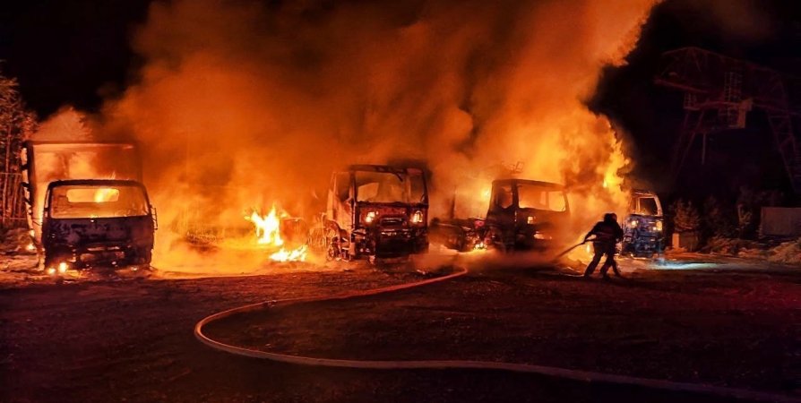 Ночью в Мурмашах сгорели 8 самосвалов и погрузчик